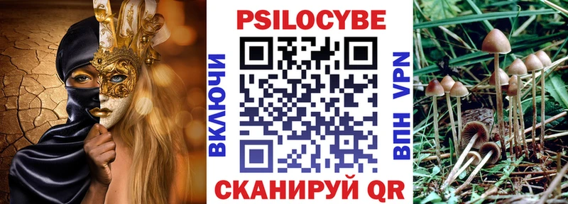 Галлюциногенные грибы прущие грибы  где продают   Вихоревка 